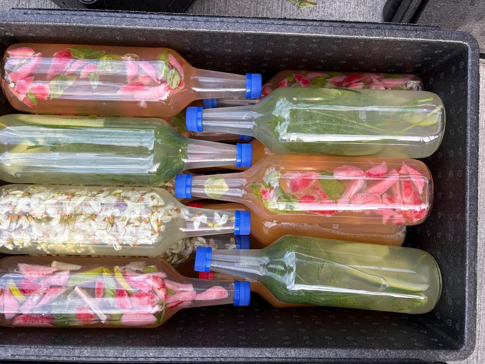 Image of Kombucha