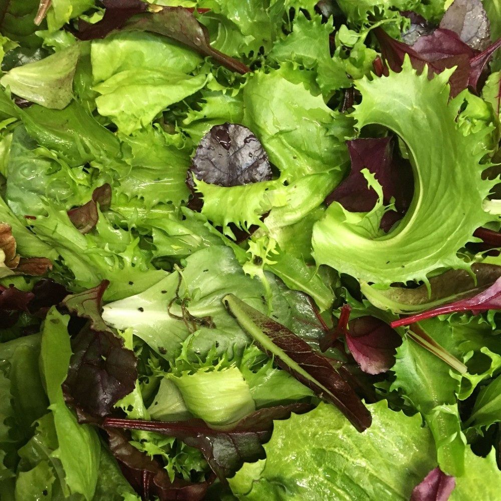 Image of Bio Endívia mix (200g)